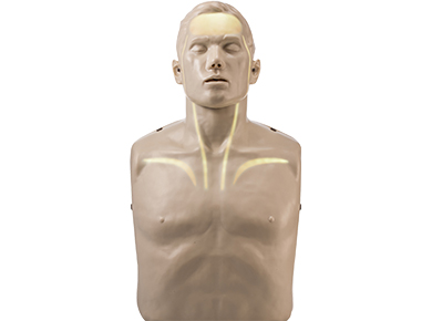 CPR培训模型