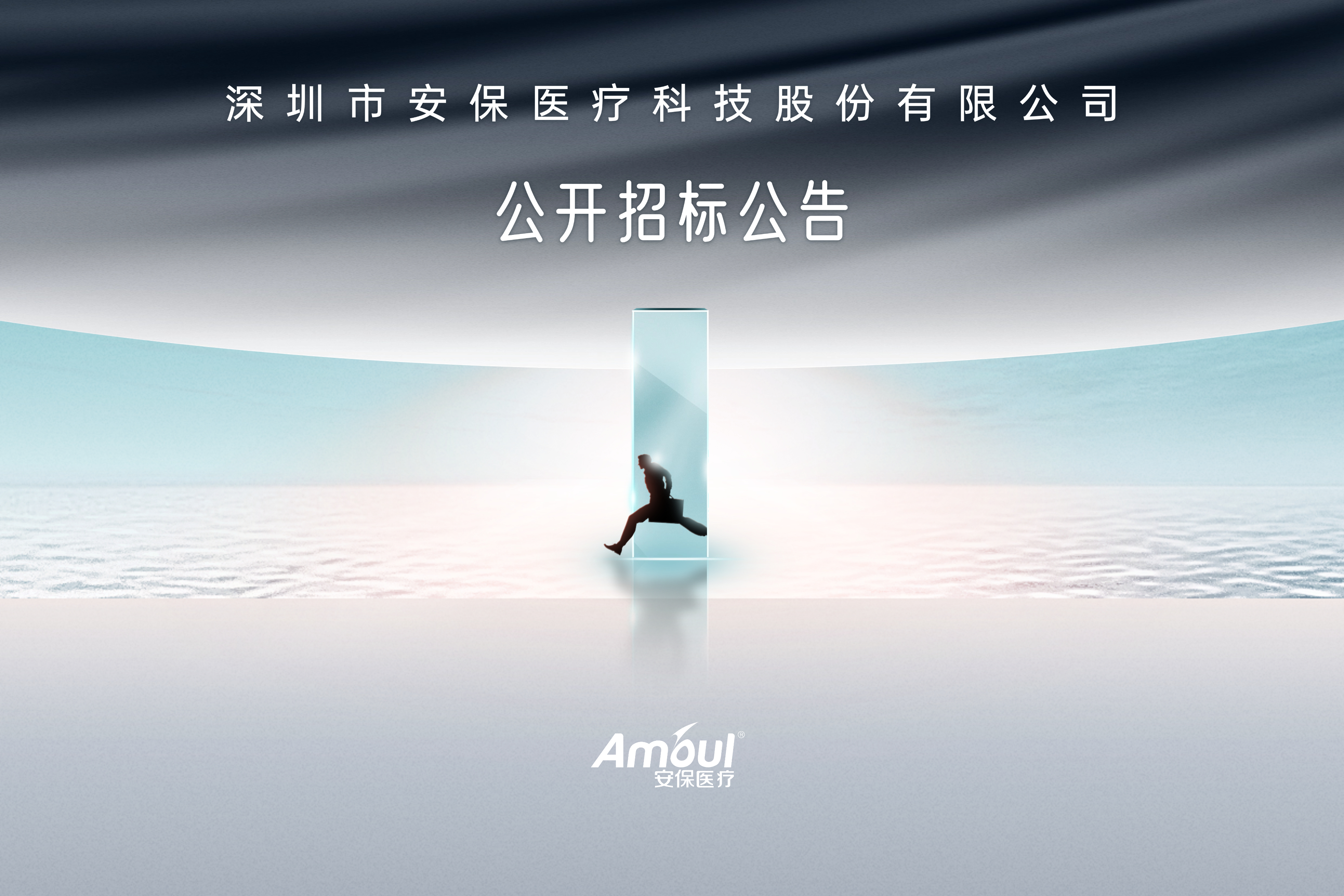 深圳市安保医疗科技股份有限公司 2025年度国际物流类招标书